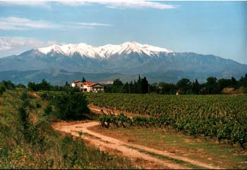 canigou